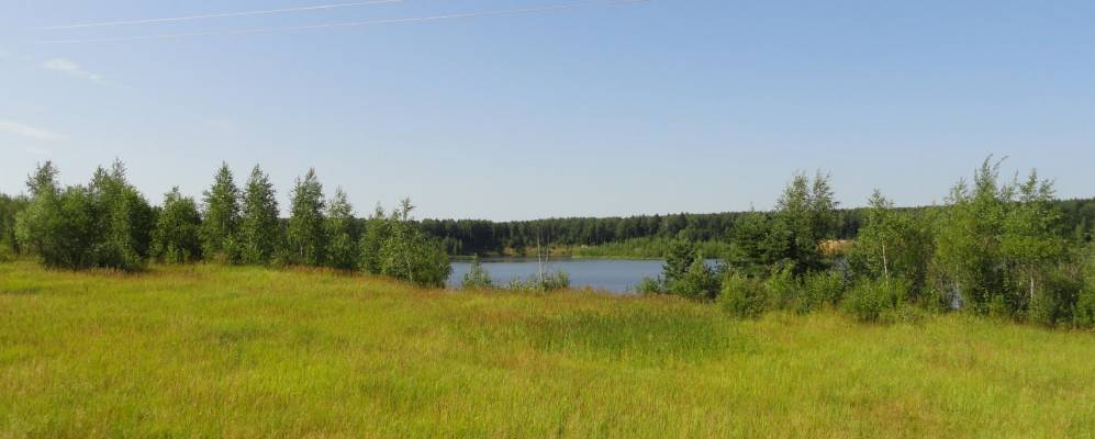 Фотография Новых Сычиков