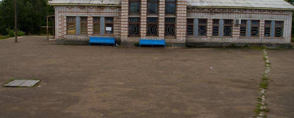 
            Фотография Косы