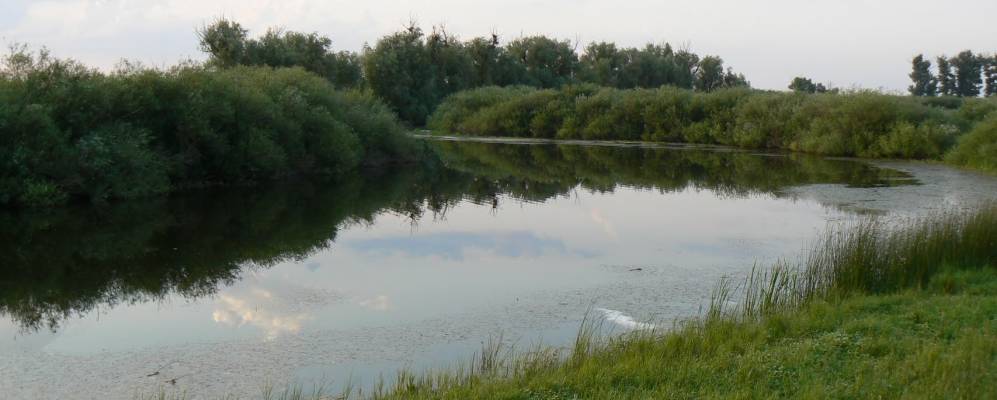 
            Фотография аула Мереке