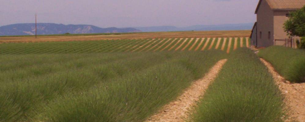 
            Фотография Валансоль