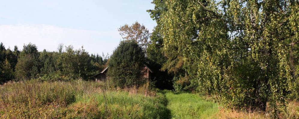 Фотография Меньшиково