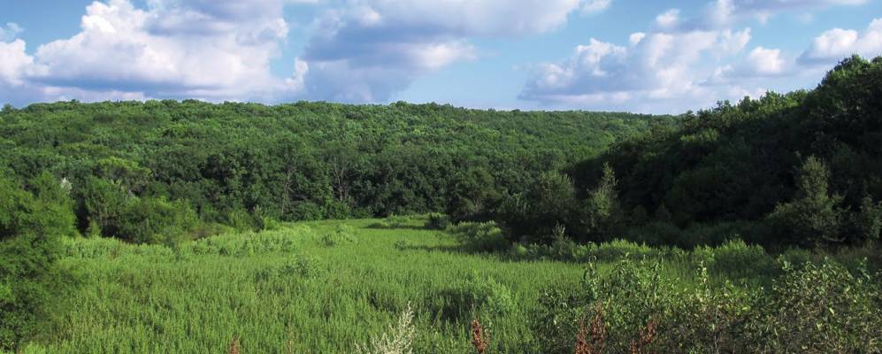 
            Фотография Лыкошина