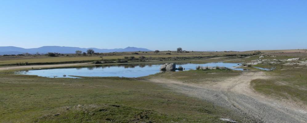 
            Фотография Оргаса