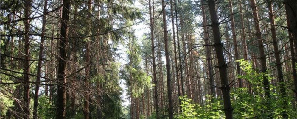 
            Фотография Новороссийского