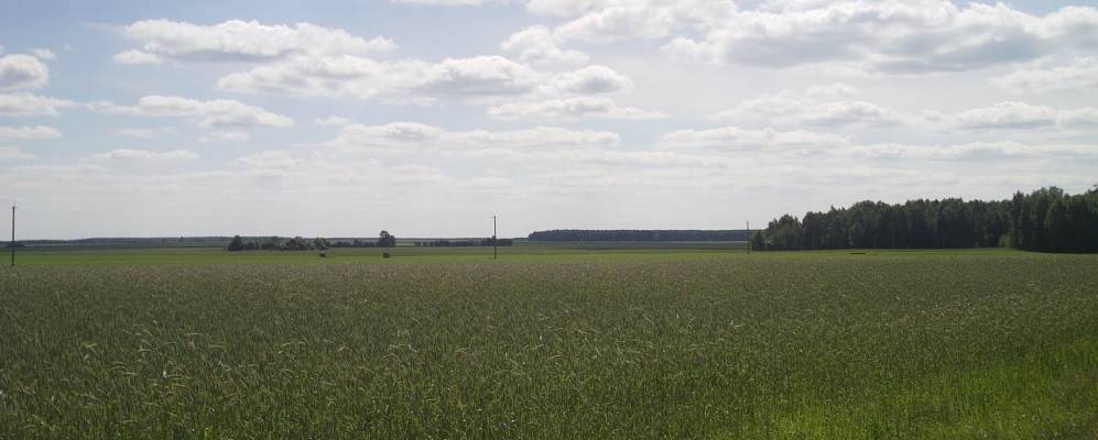 Фотография Вангов