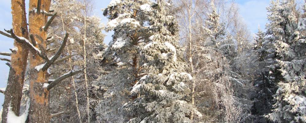 
            Фотография Каменки