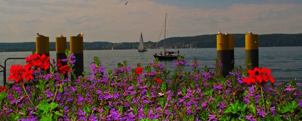 
            Фотография Уберлингена