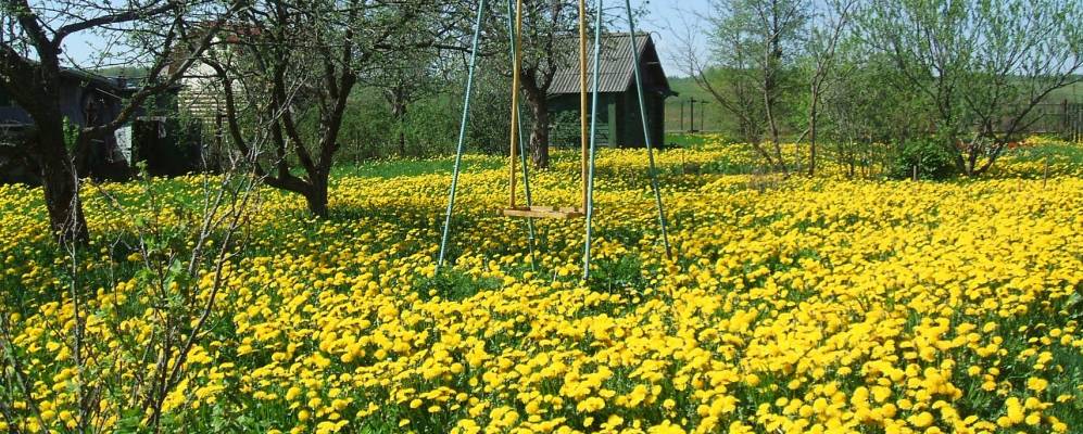 
            Фотография Ярыгино