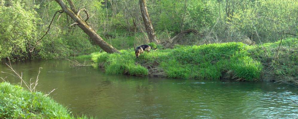 
            Фотография Былово
