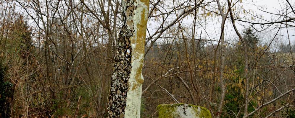 
            Фотография Нантья