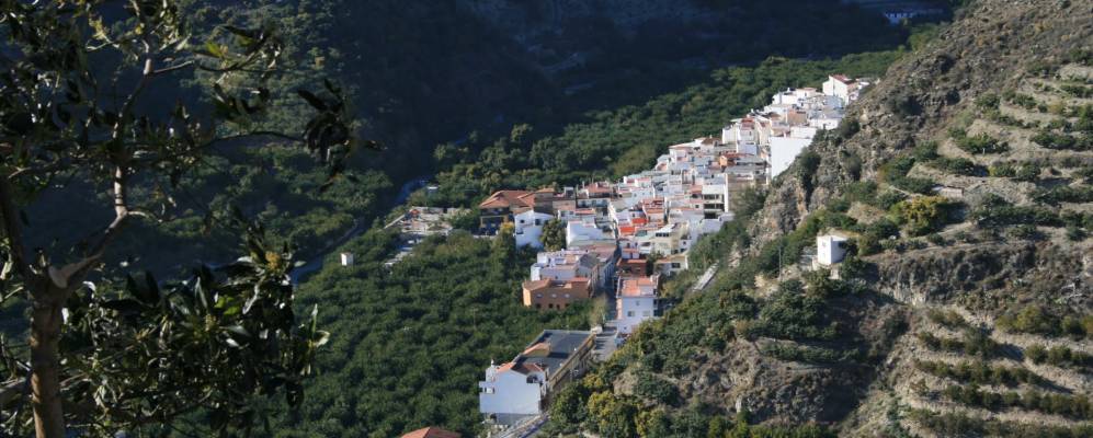 
            Фотография Хете