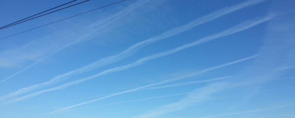 
            Фотография Тенекаево