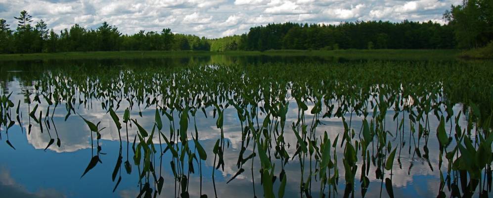 
            Фотография Лейк-Эрроухеда