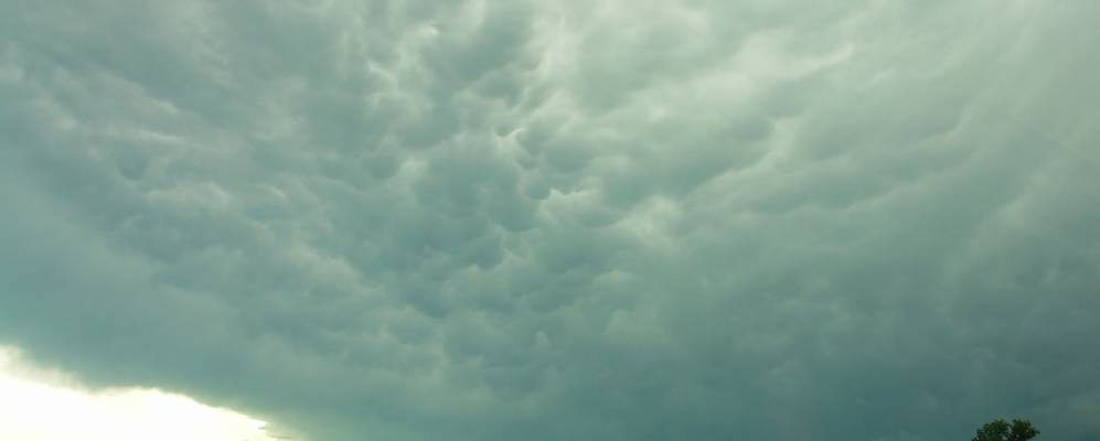 
            Фотография Рауни