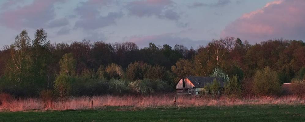 
            Фотография Борзуново