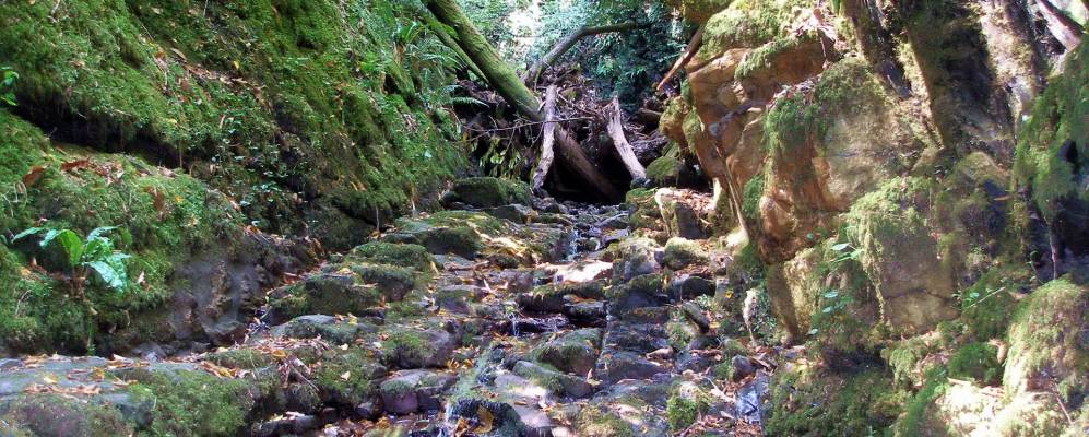 
            Фотография Третьей Роты