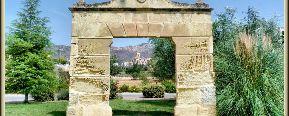 
            Фотография Тиби