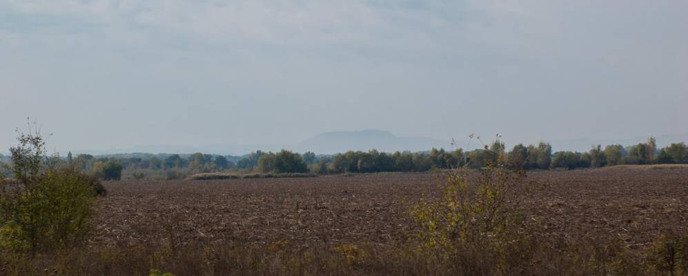 
            Фотография Коваленко