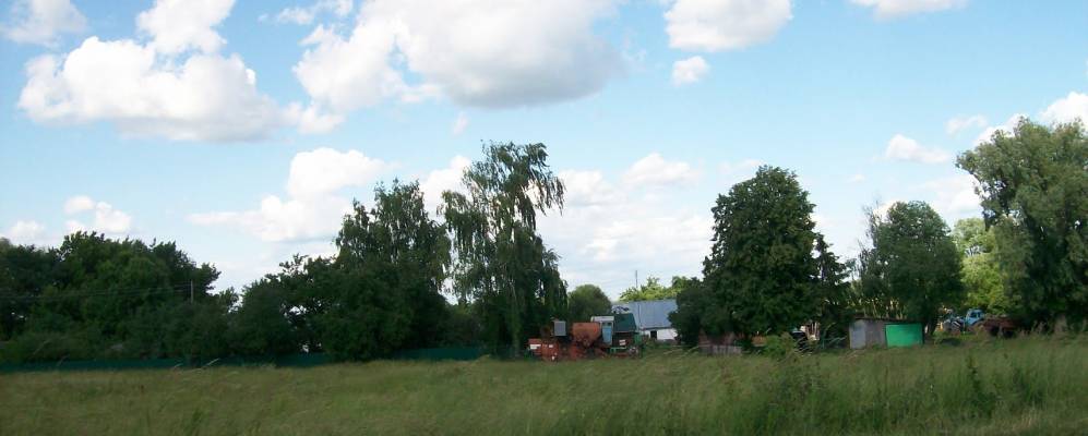 Фотография Дубравы