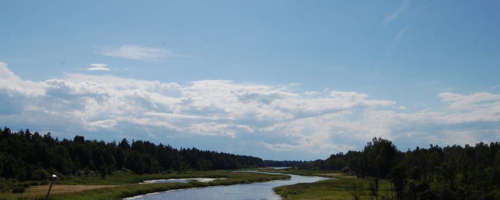 
            Фотография деревни Низовицы