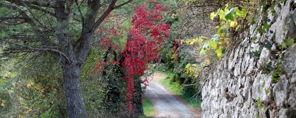 
            Фотография Монтекастелли