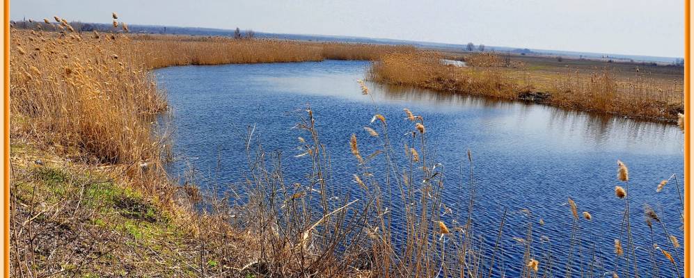 
            Фотография Новолюбовки