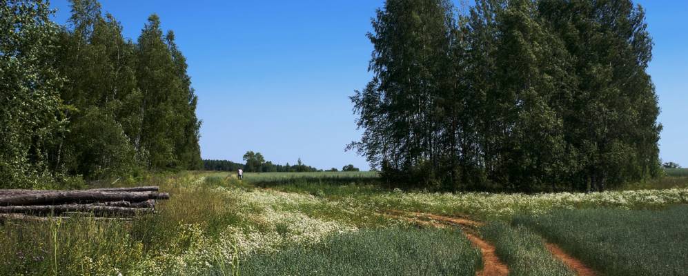 
            Фотография Репных