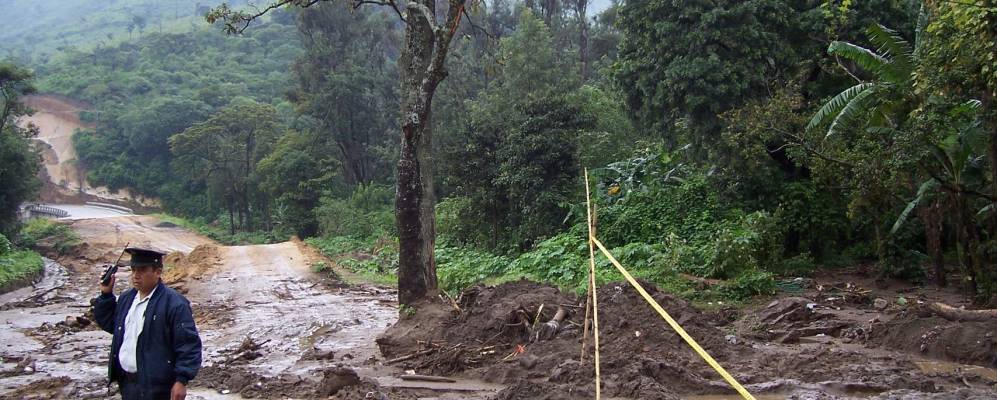 
            Фотография Пастореса