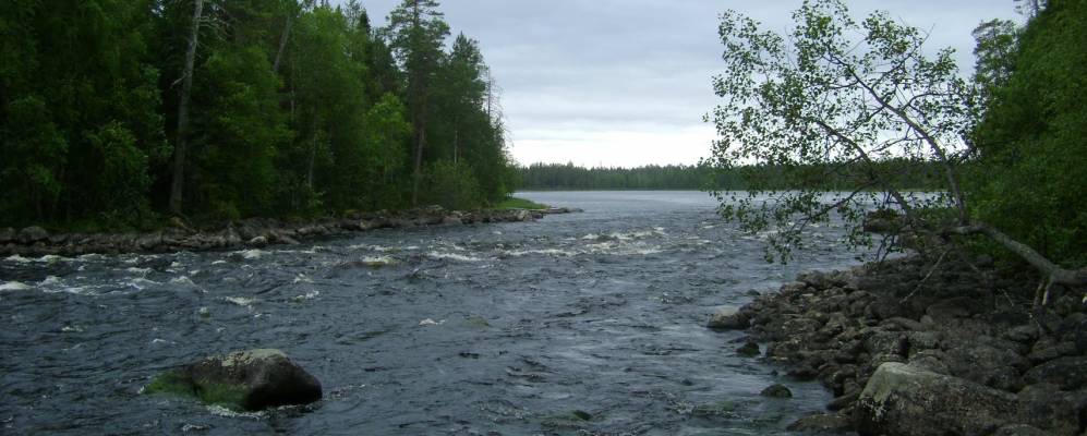 
            Фотография Сулоострова