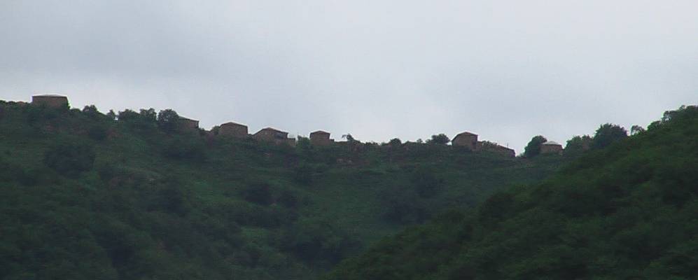 
            Фотография Бажлука