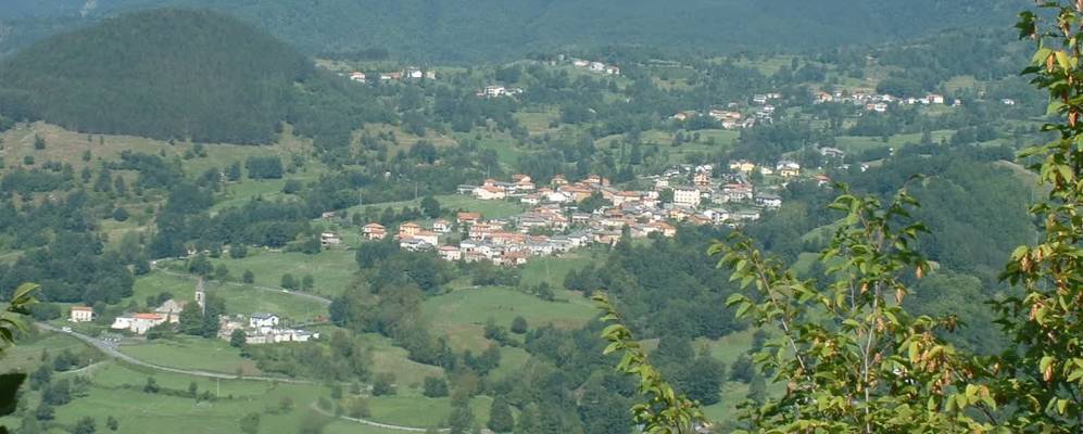 
            Фотография Дзери