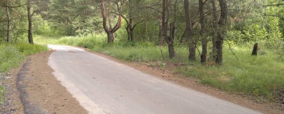 Фотография Большого Шумаково