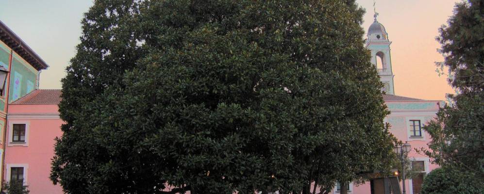 
            Фотография Чинизелло-Бальзамо