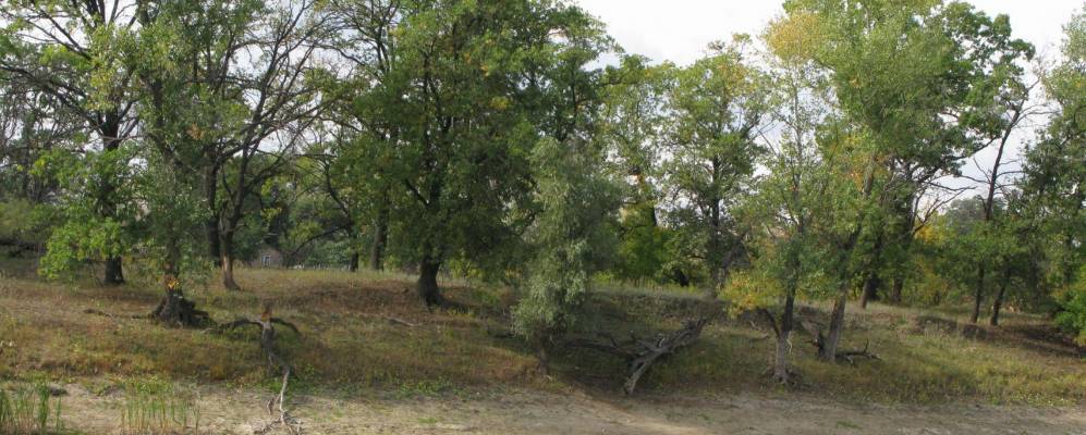 
            Фотография Песчаной Второй