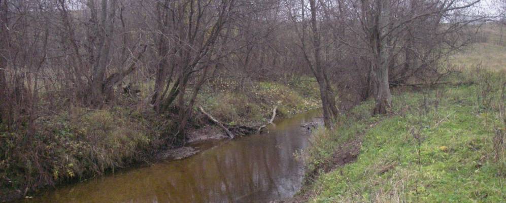 
            Фотография деревни Дмитровичи