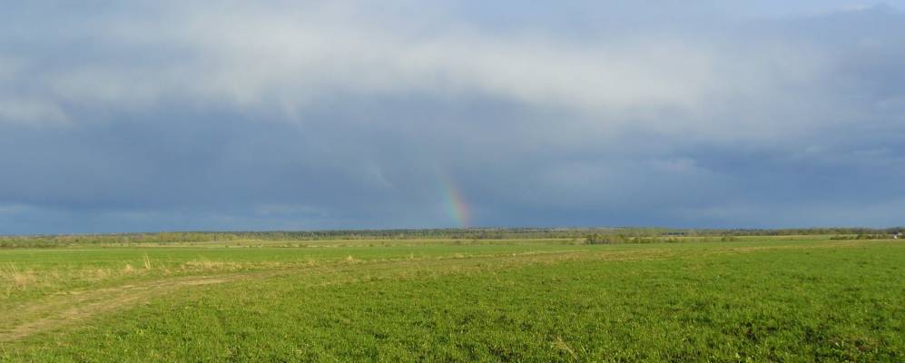 
            Фотография Климотино