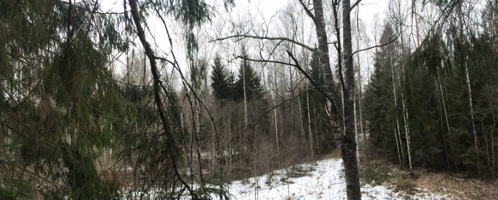 
            Фотография Заполья