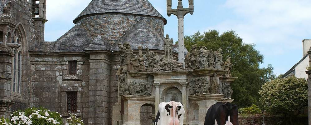 
            Фотография Гиклана