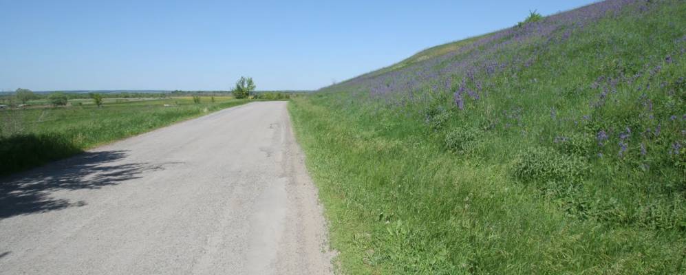 Фотография Александровки