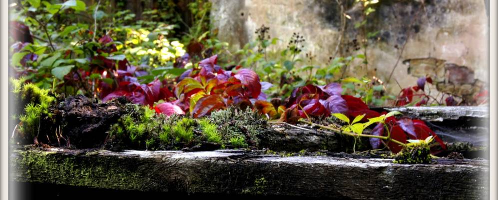 
            Фотография Абршвиллера