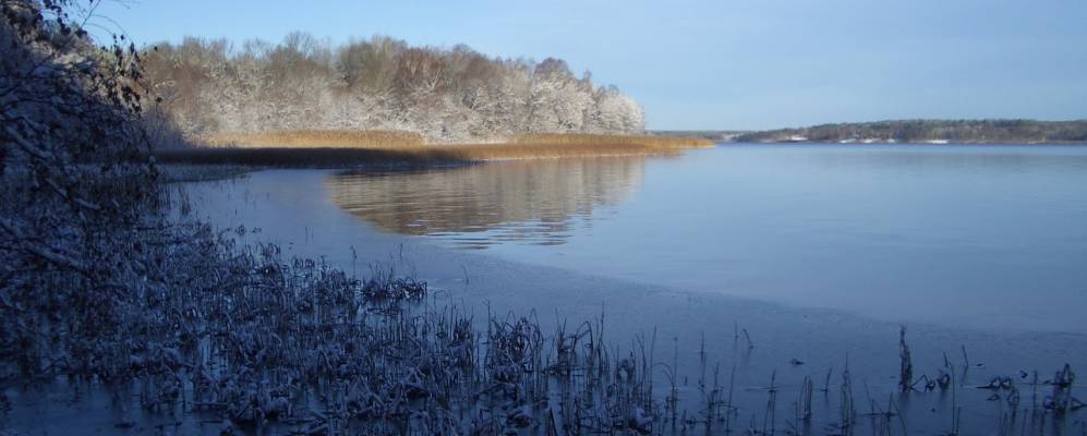 
            Фотография Скоклостера