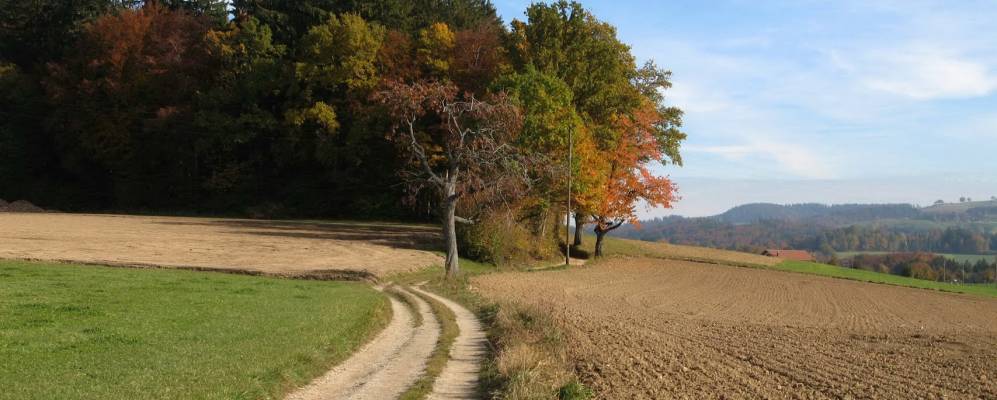 
            Фотография Альтерсвиль