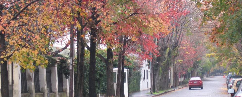 
            Фотография Оливоса