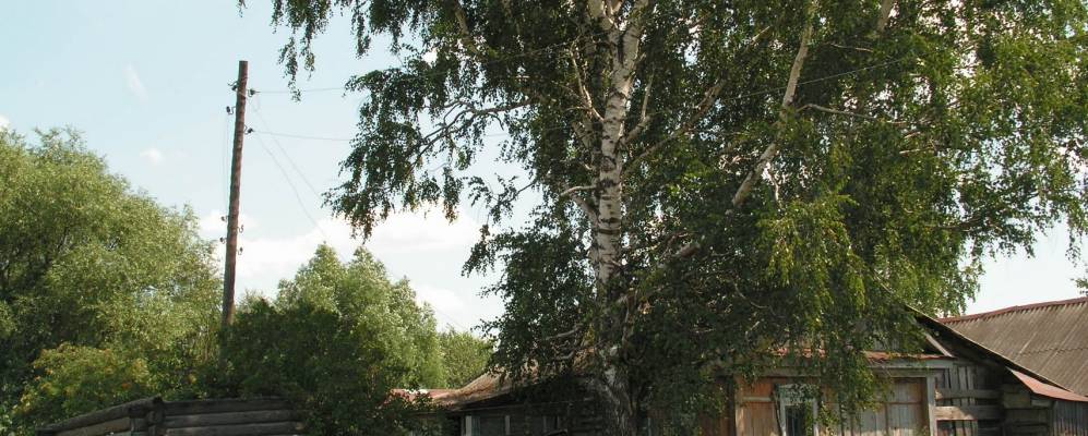 
            Фотография Сычевки