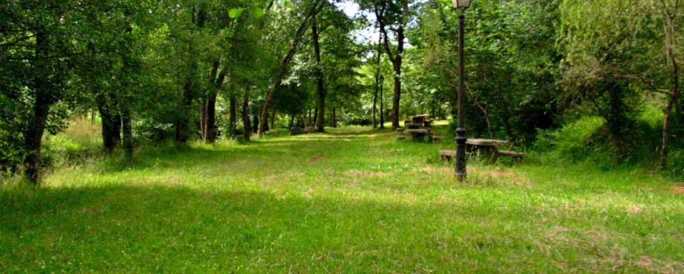 
            Фотография Тоуро