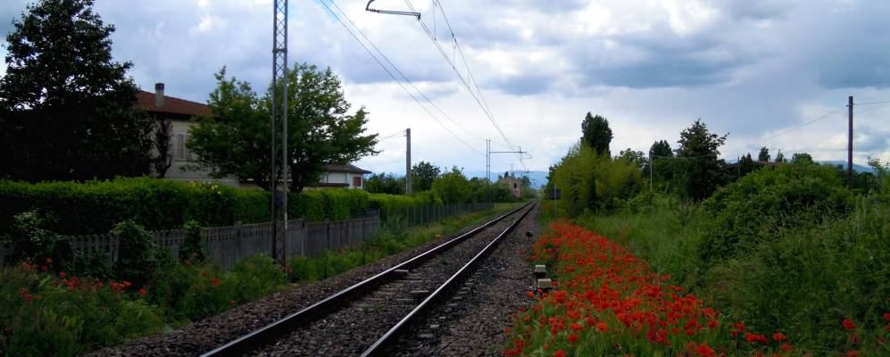 
            Фотография Резаны