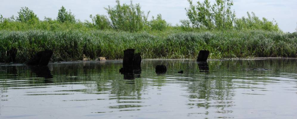 
            Фотография Мясниково