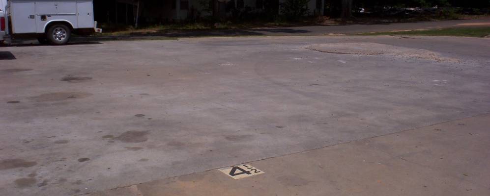 
            Фотография Newton