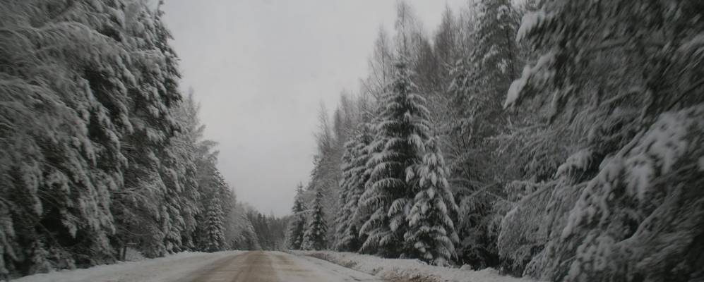 
            Фотография Ерохино