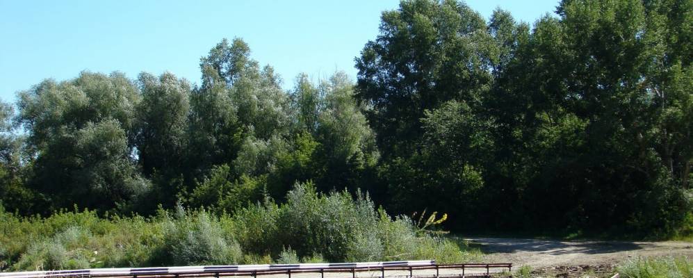 
            Фотография Кандуровки